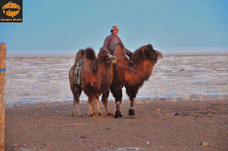 Mongolie